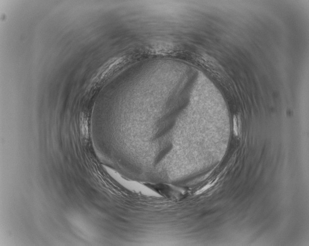 X0000059061155200510281625