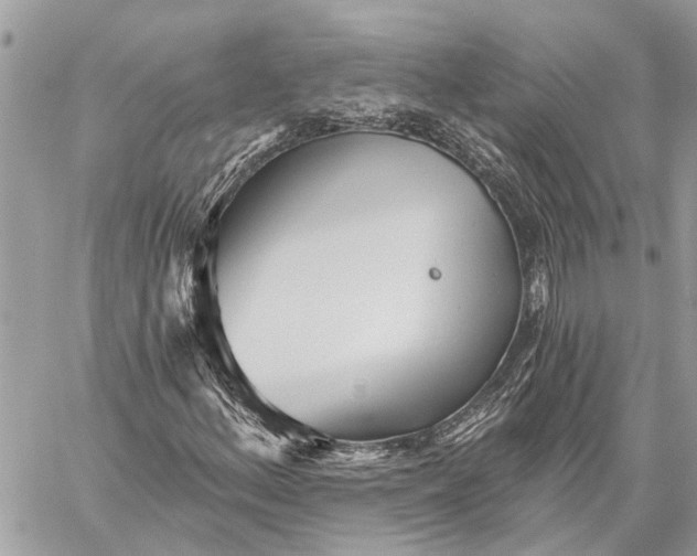 X0000059061156200510281625