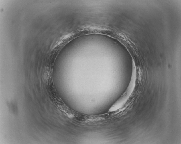 X0000059061157200510281625