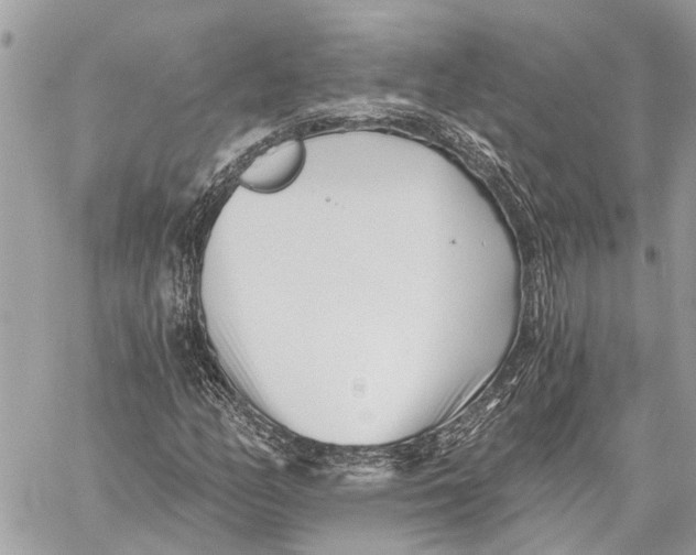 X0000059061158200510281625