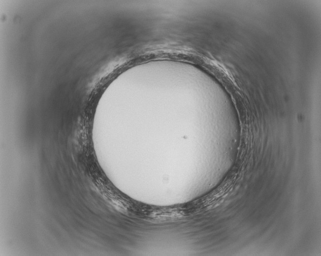 X0000059061159200510281625