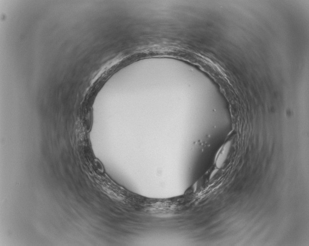 X0000059061160200510281625