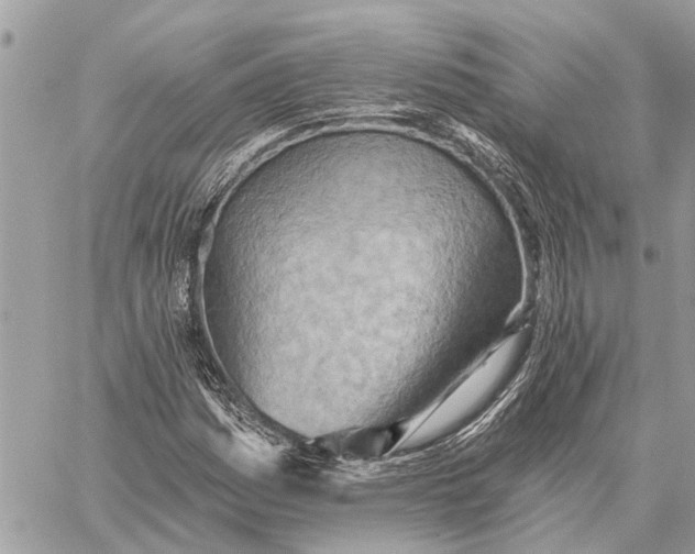 X0000059061161200510281625