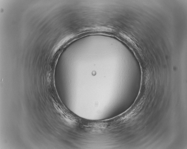 X0000059061163200510281625