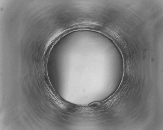 X0000059061164200510281625