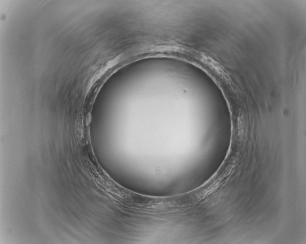 X0000059061165200510281625