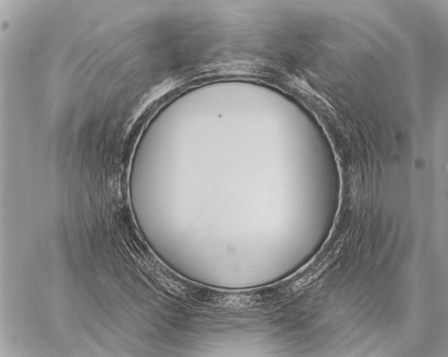 X0000059061166200510281625