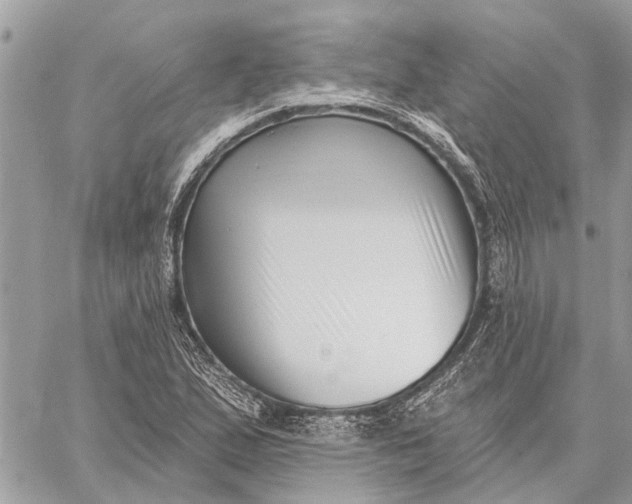 X0000059061167200510281625