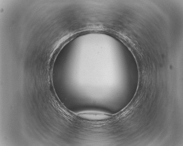 X0000059061168200510281625