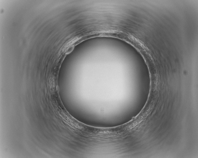 X0000059061169200510281625