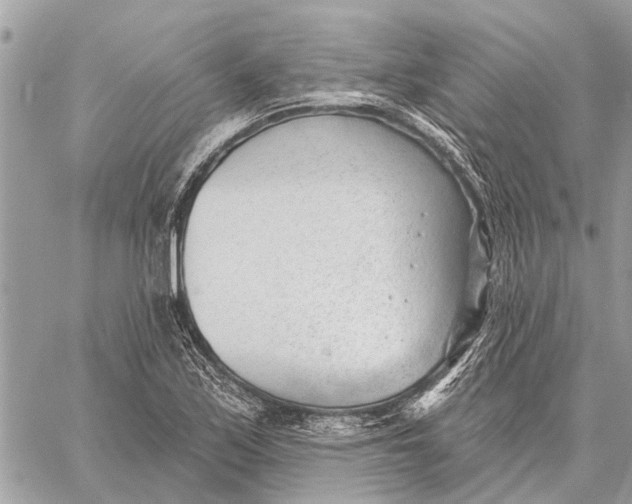 X0000059061171200510281625