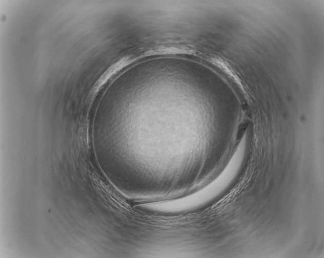 X0000059061173200510281625