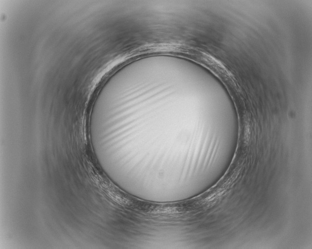 X0000059061174200510281625