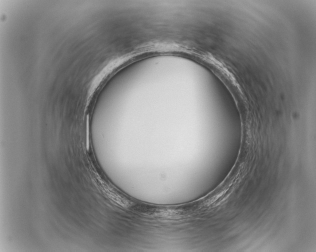 X0000059061175200510281625