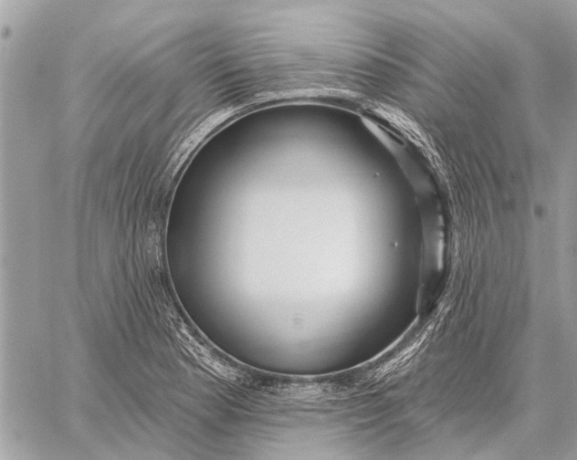 X0000059061177200510281625