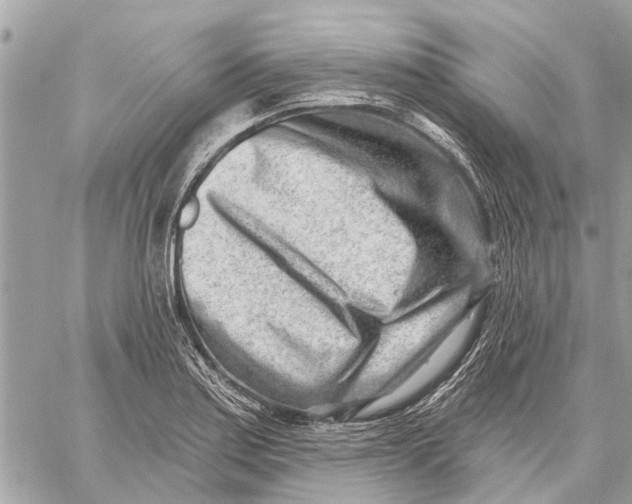 X0000059061179200510281625