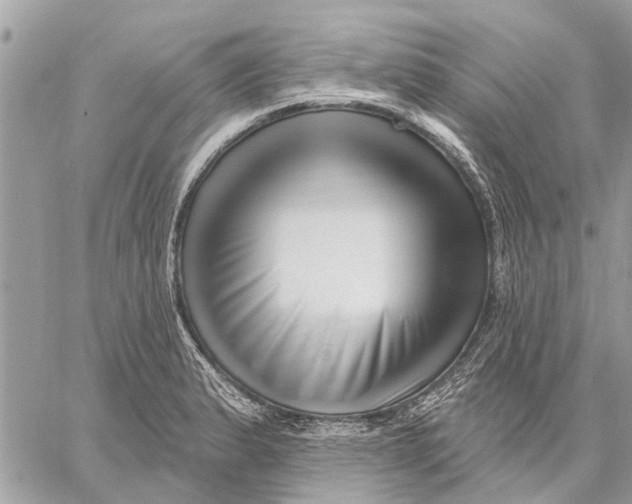 X0000059061183200510281625