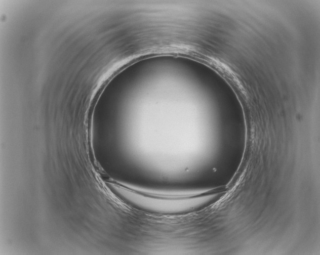 X0000059061184200510281625