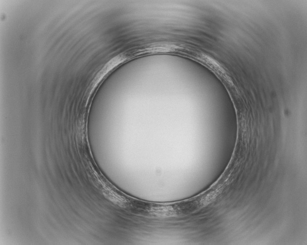 X0000059061186200510281625