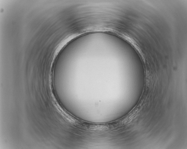 X0000059061187200510281625