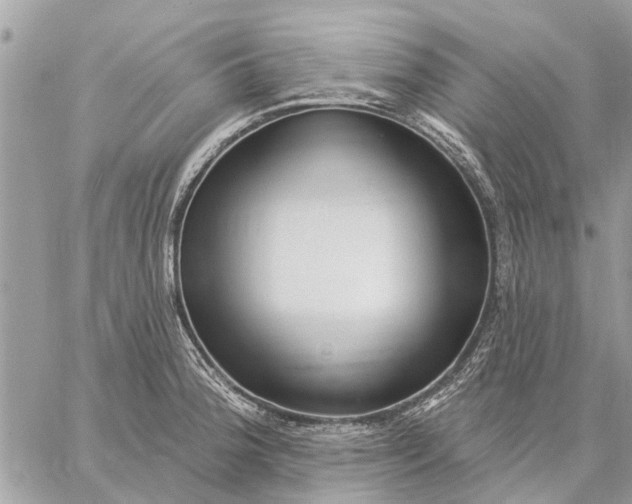 X0000059061188200510281625