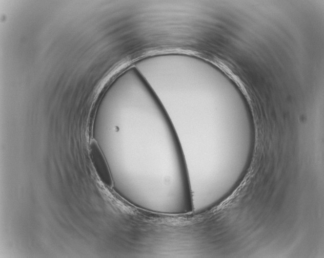 X0000059061189200510281625