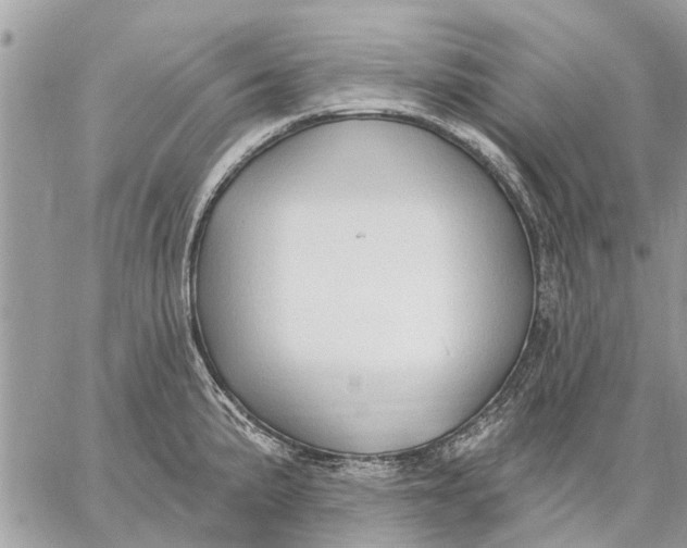 X0000059061191200510281625