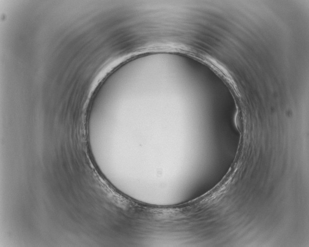 X0000059061192200510281625