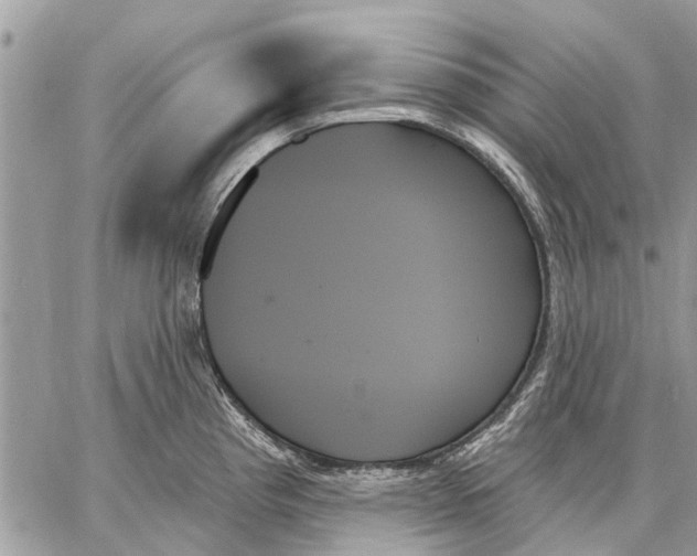 X0000059061193200510281625