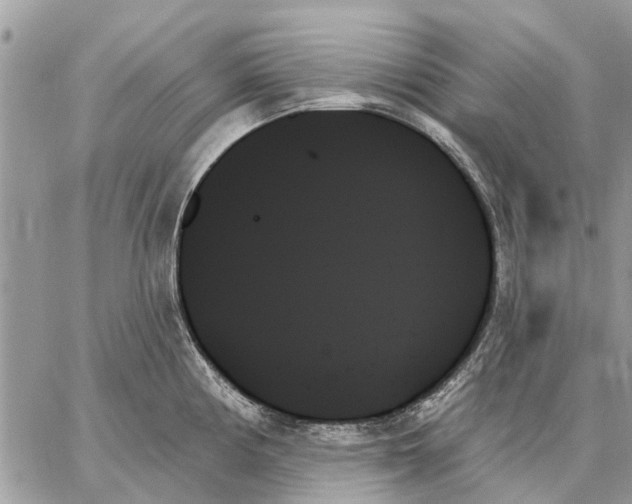 X0000059061194200510281625