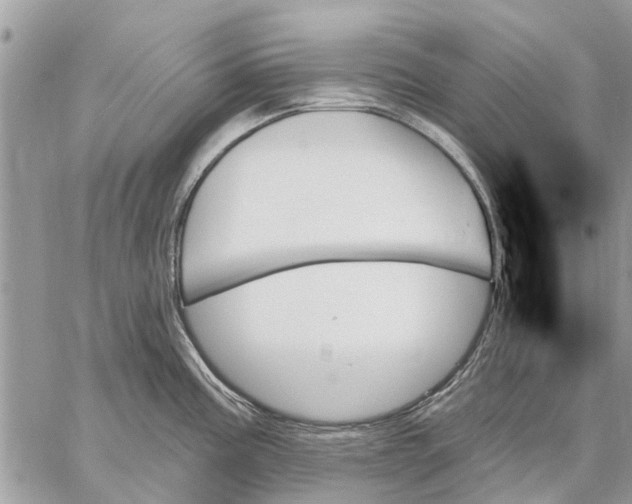 X0000059061195200510281625