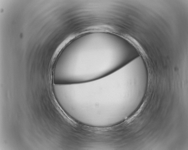 X0000059061196200510281625