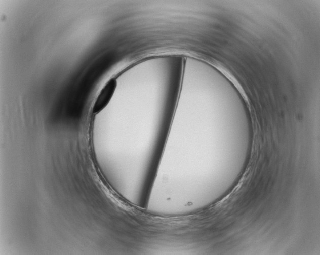 X0000059061197200510281625