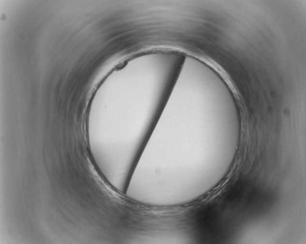 X0000059061199200510281624