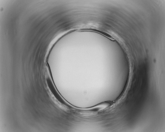 X0000059061200200510281624