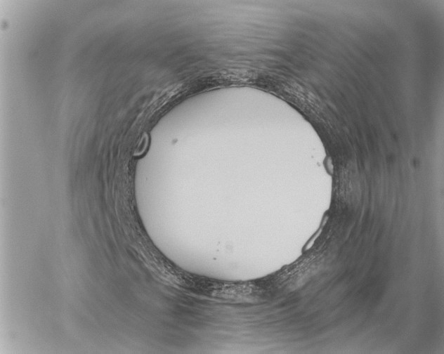 X0000059061201200510281624