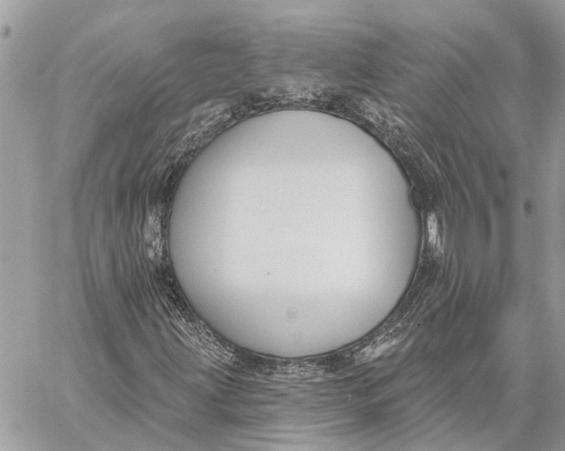 X0000059061203200510281624