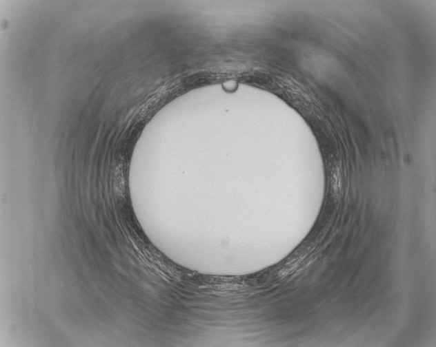 X0000059061204200510281624