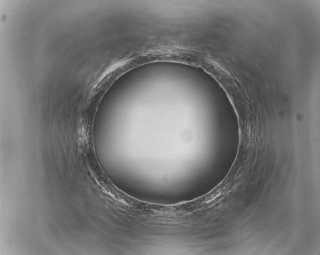 X0000059061206200510281624