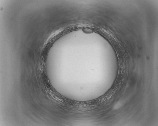 X0000059061207200510281624