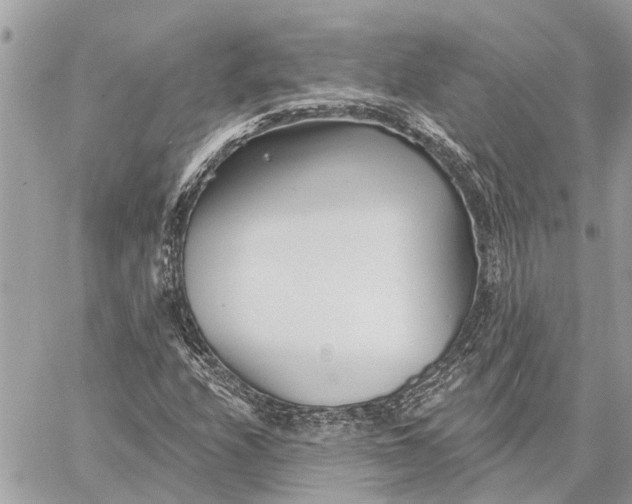 X0000059061208200510281624