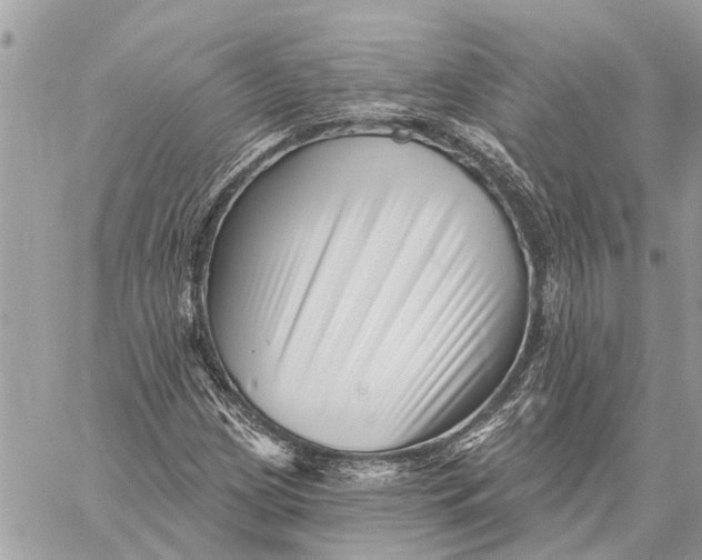 X0000059061209200510281624