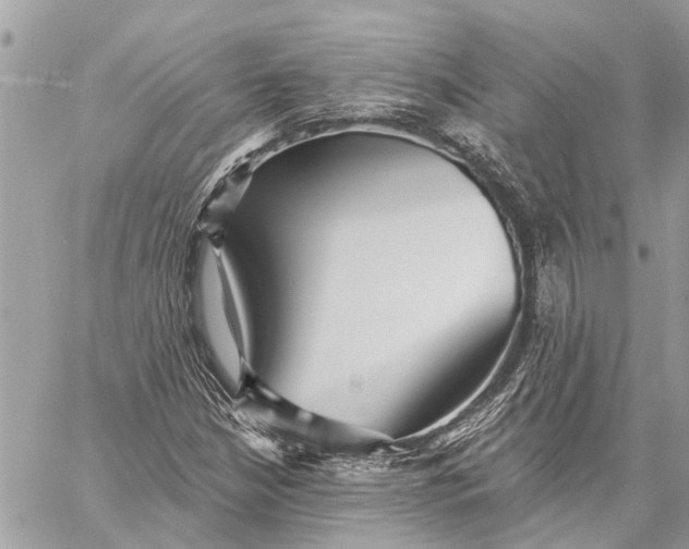 X0000059061210200510281624