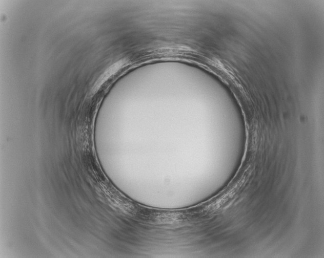 X0000059061211200510281624