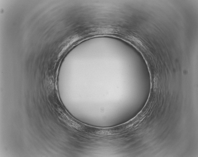 X0000059061212200510281624