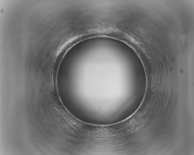 X0000059061214200510281624