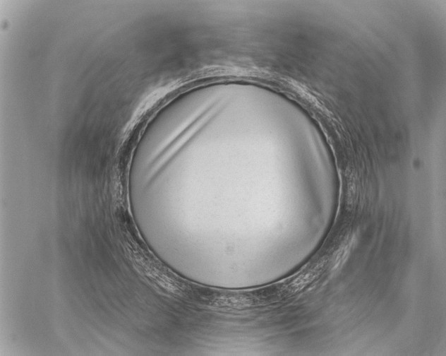 X0000059061215200510281624