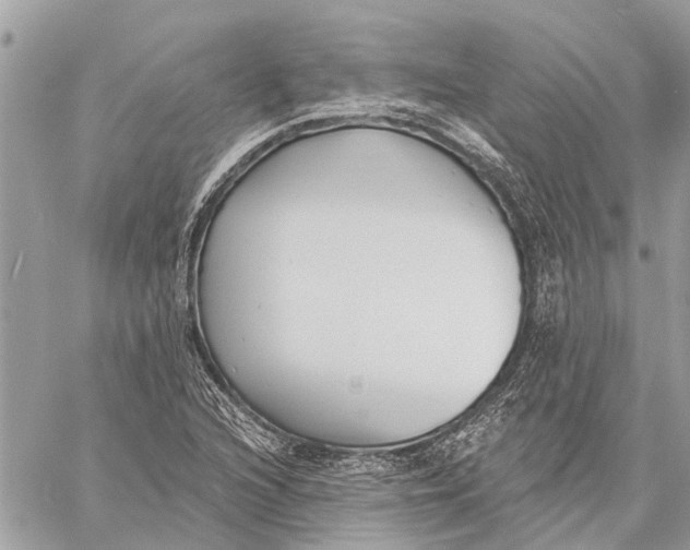 X0000059061216200510281624