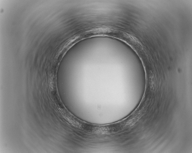 X0000059061217200510281624