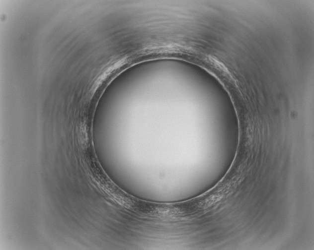 X0000059061218200510281624